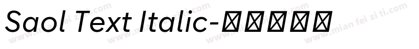 Saol Text Italic字体转换